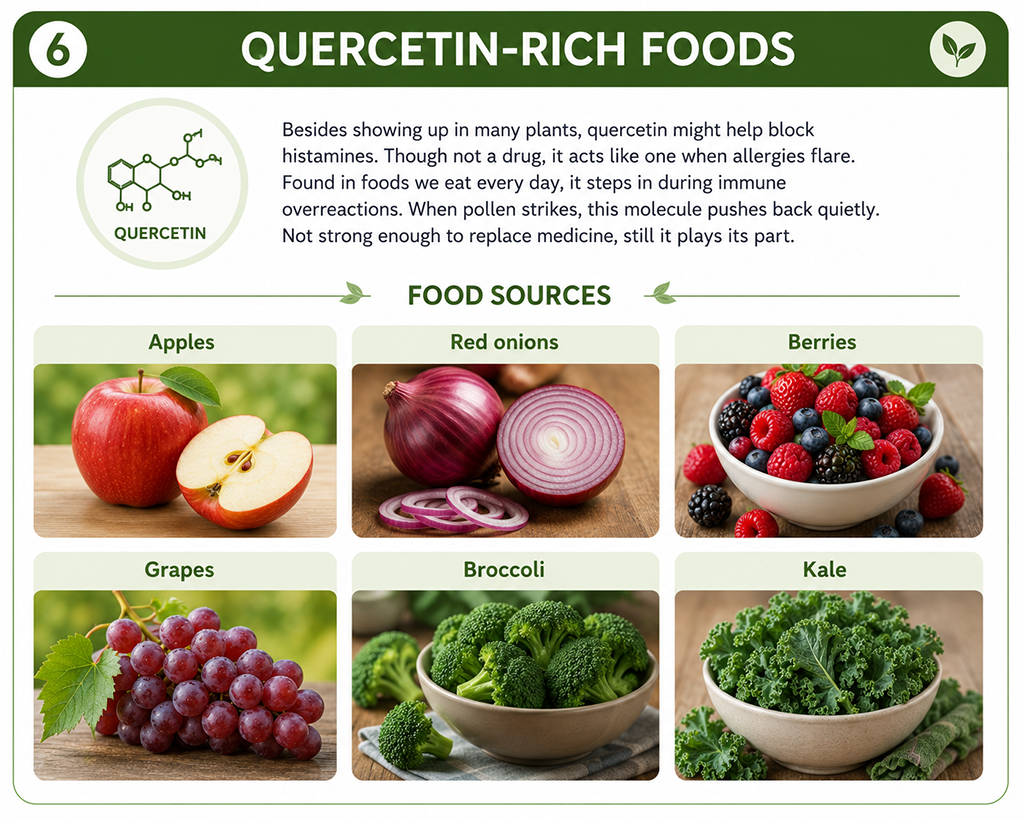 b12d3 Quercetin-Rich Foods