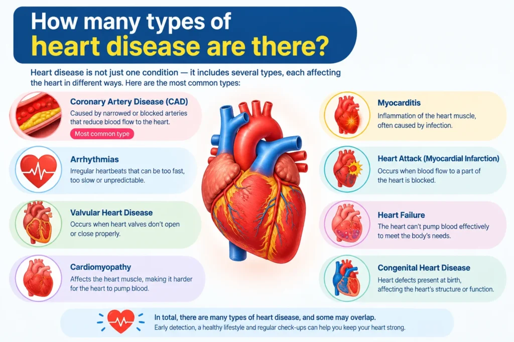 How many types of heart diseases are there