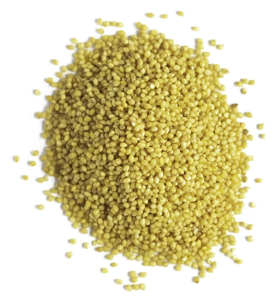 What is foxtail millet